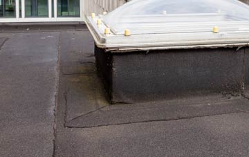 disadvantages of Langthorne flat roofs