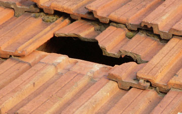 roof repair Langthorne, North Yorkshire